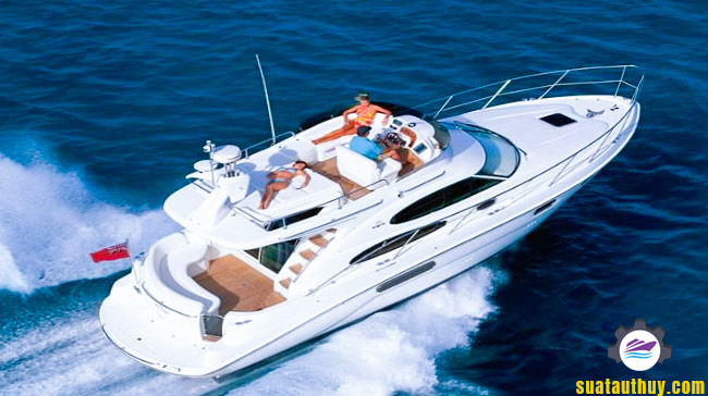 Du Thuyền Sealine 37 Fly sang trọng
